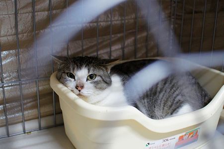 �ޤä���