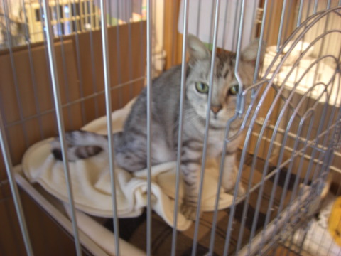 CIMG0022
