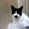 ヒメちゃん1年前