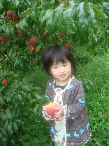 DSC03517