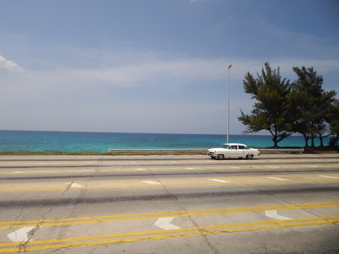 DSCN1803