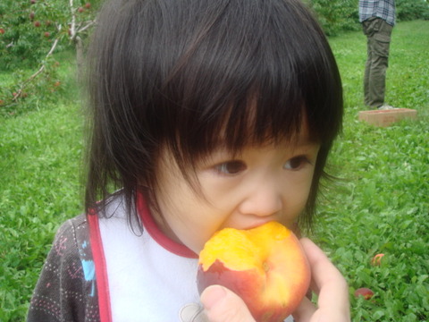 DSC03519