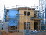 27e723c3.jpg