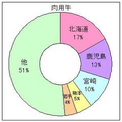 肉用牛2