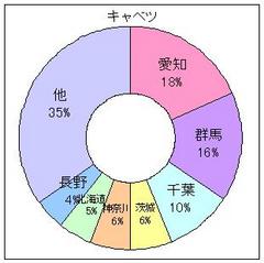 キャベツ2