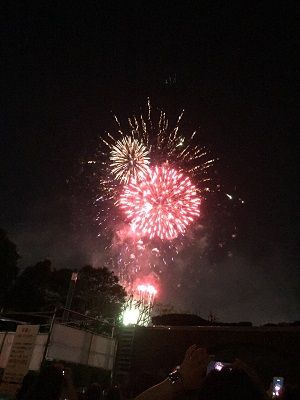 IMG_0234