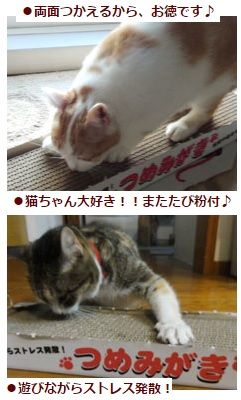 ⑦爪磨き