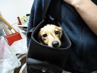bag-6