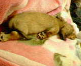 c797ef95.jpg