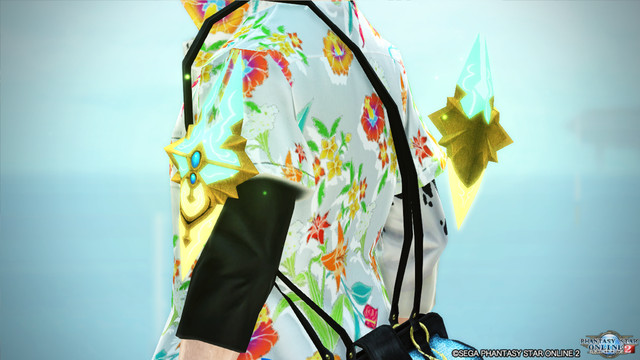 pso20170716_214526_044