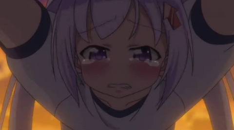 2 (21)