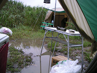 PICT1233
