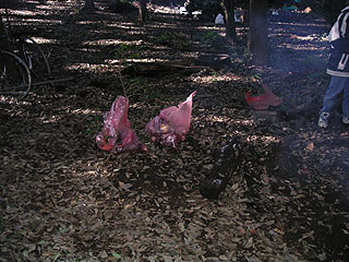 PICT0420