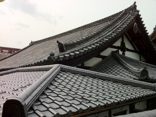 sIMG_3269
