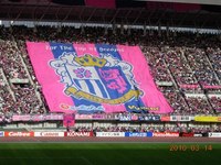 DSCN1924