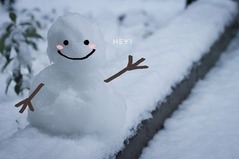 IMG_7767_s