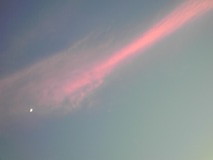 100718_1909~01