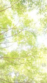 100505_1411~01