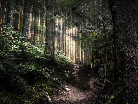 Talapus Lake Hike-1-M