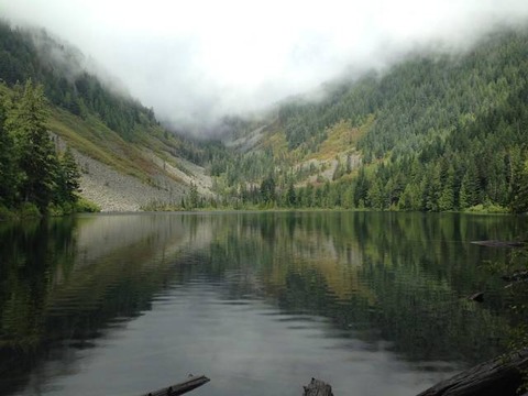 Talapus2