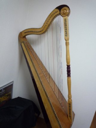 arpaveracruzano