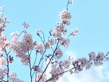 IMG_0783