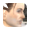 �ۥ⥪���ۥ⥪@����ɥ�