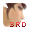 �إ����ޥ�@�إ����3rd