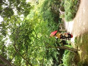 c9cd2c6d.jpg