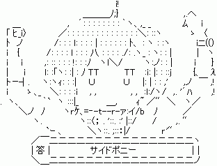 20847