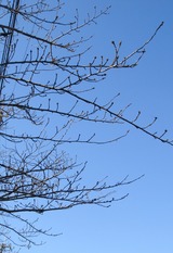 DSC07850
