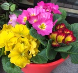 IMG_0853 (2)