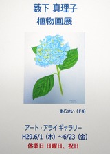 DSCN0640