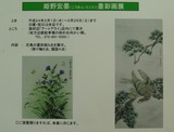 DSC07814