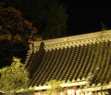 DSC07806
