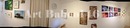 11884975_1670356536530040_916354548946240510_o