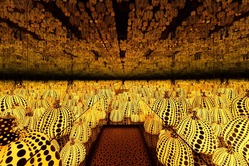 28661338_1479157922194913_8070921449642131456_n