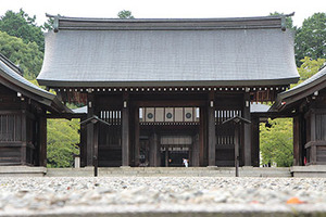 IMG_3512csw