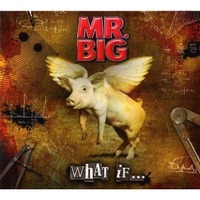 MR.BIG / WHAT IF...