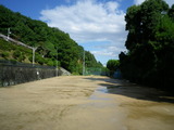 IMGP0812