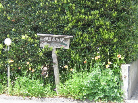 9e094d79.jpg