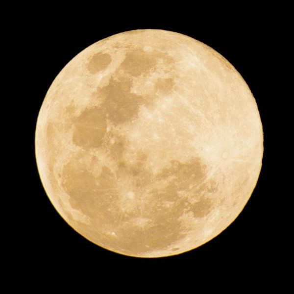 獅子座満月 皆既月食 ぴん来る Astrology