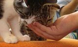 c53737a5.jpg