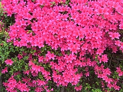 ¥Ä¥Ä¥¸¡¡¥¥ê¥·¥Þ¥Ä¥Ä¥¸ 0422
