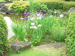¥Ï¥Ê¥·¥ç¥¦¥Ö 0603 ¥Ï¥Ê¥·¥ç¥¦¥Ö 0603