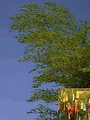 ¥¿¥±¡¡¥µ¥µ¡¡¼·Í¼¡¡0622 ¥¿¥±¡¡¥µ¥µ¡¡¼·Í¼¡¡0622