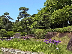 0614¡¡¥Ï¥Ê¥·¥ç¥¦¥Ö 0614¡¡¥Ï¥Ê¥·¥ç¥¦¥Ö