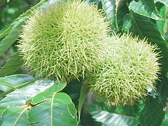 0905¡¡¥¯¥ê 0905¡¡¥¯¥ê