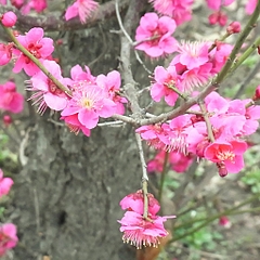 ¥¦¥á¡¡0308 ¥¦¥á¡¡0308