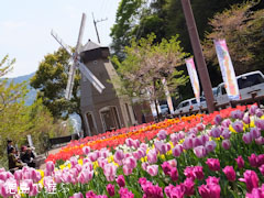 デ・レイケ公園 チューリップ 2013